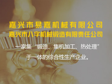 嘉興市易嘉機械有限公司2024年度綠色低碳發展年度報告